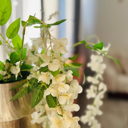 Mary Cozy House Apartment Athena Bagian luar foto